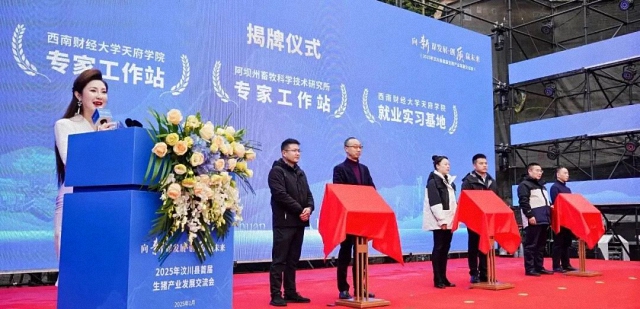 鷹皇科技一月簡(jiǎn)報(bào),成都鷹皇科技專業(yè)舞臺(tái)燈光音響視頻工程